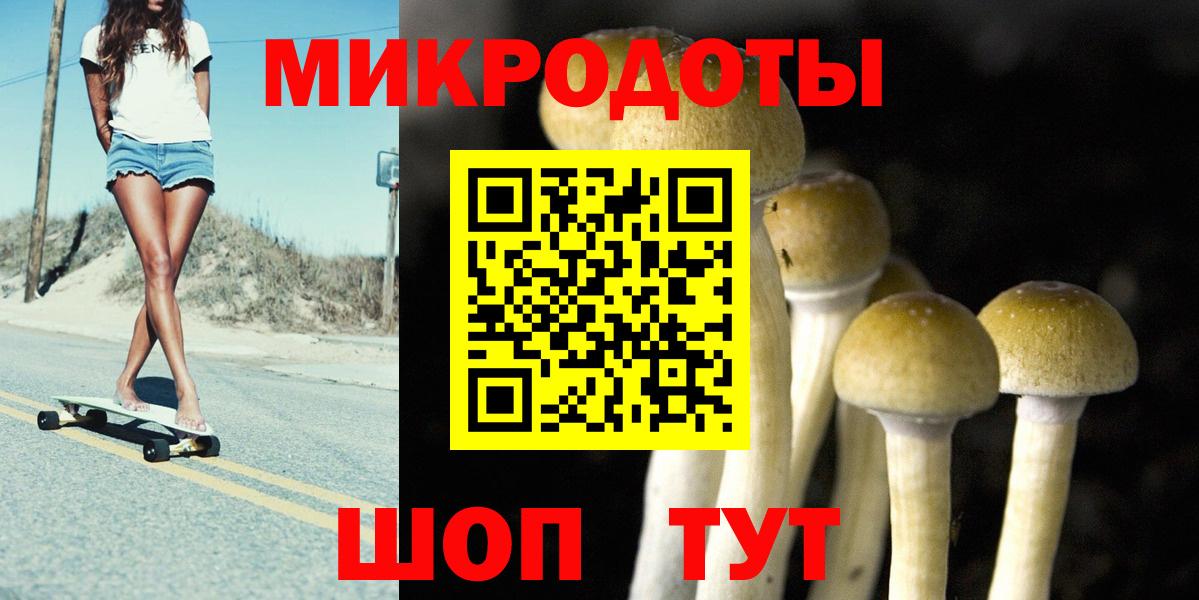 Элиста  Галлюциногенные грибы мицелий  Вход с VPN  как найти   Галлюциногенные грибы MAGIC MUSHROOMS 